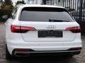 Audi A4 Diesel Avant 30 TDI S tronic line AHK*LED*Kam.*Nav Blanc - thumbnail 5