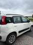 Fiat Panda Panda III 2012 1.3 mjt 16v Pop 75cv E5+ Bianco - thumbnail 6