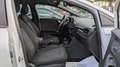 Ford Puma HYBRID ST-LINE 1.0cc 125cv SAFETYPACK Blanc - thumbnail 14