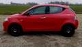 Lancia Ypsilon Ypsilon 1.2 Platinum 69cv Rot - thumbnail 11