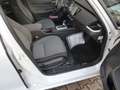 Honda Jazz Hybrid e:HEV 1.5 i-MMD Elegance Blanco - thumbnail 9