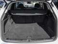 Audi Q5 SUV S line 40 TDI quattro 150(204)  S tronic Virtu Alb - thumbnail 18