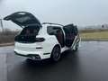 BMW X7 X7 xDrive40d Weiß - thumbnail 20
