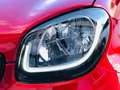 smart forFour Prime **POSS.PACK SPORT**VED.NOTE Rosso - thumbnail 7