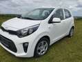 Kia Picanto 1,0  Lenkrad-Sitzheizung+Winterreifen+Felgen Blanc - thumbnail 1