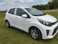 Kia Picanto 1,0  Lenkrad-Sitzheizung+Winterreifen+Felgen Blanc - thumbnail 2