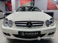 Mercedes-Benz CLK 200 Kompressor Elegance Memory Leder Holz Blanc - thumbnail 2
