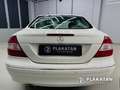 Mercedes-Benz CLK 200 Kompressor Elegance Memory Leder Holz Blanc - thumbnail 6