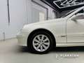 Mercedes-Benz CLK 200 Kompressor Elegance Memory Leder Holz Blanc - thumbnail 10