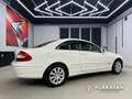 Mercedes-Benz CLK 200 Kompressor Elegance Memory Leder Holz Blanc - thumbnail 5