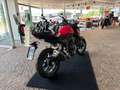 Honda CB 500 Hornet 2025 Rosso - thumbnail 6