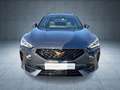 CUPRA Formentor 1.5 TSI DSG Nav/Assist/FullLink/Kam/SH Grau - thumbnail 9