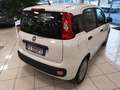 Fiat Panda 1.2 Easy BENZ / GPL  Euro 6D-TEMP Blanc - thumbnail 8