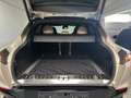 Aston Martin DBX / Pearl Blonde / CF-Pack / Beige - thumbnail 13