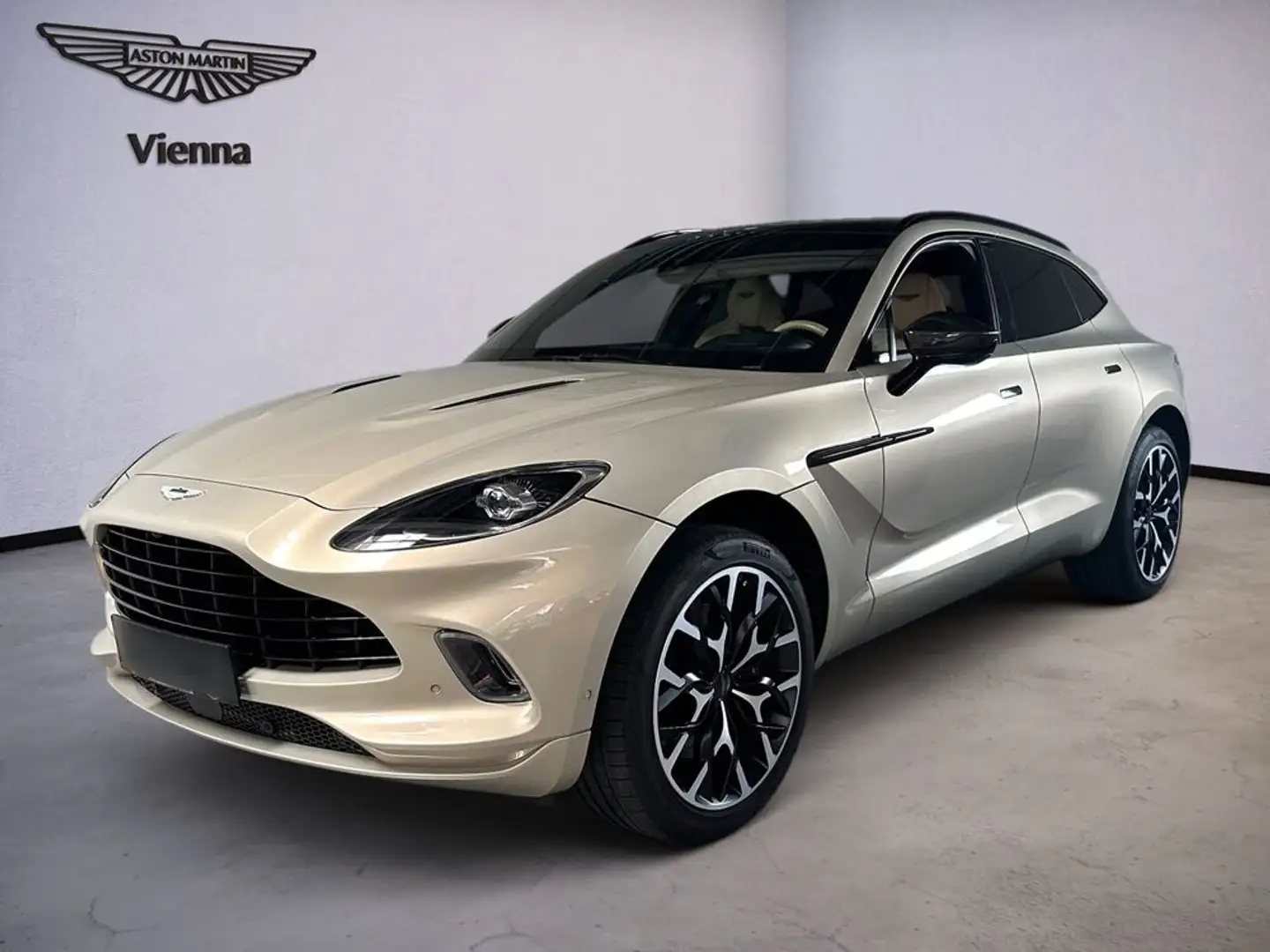 Aston Martin DBX / Pearl Blonde / CF-Pack / Beige - 1