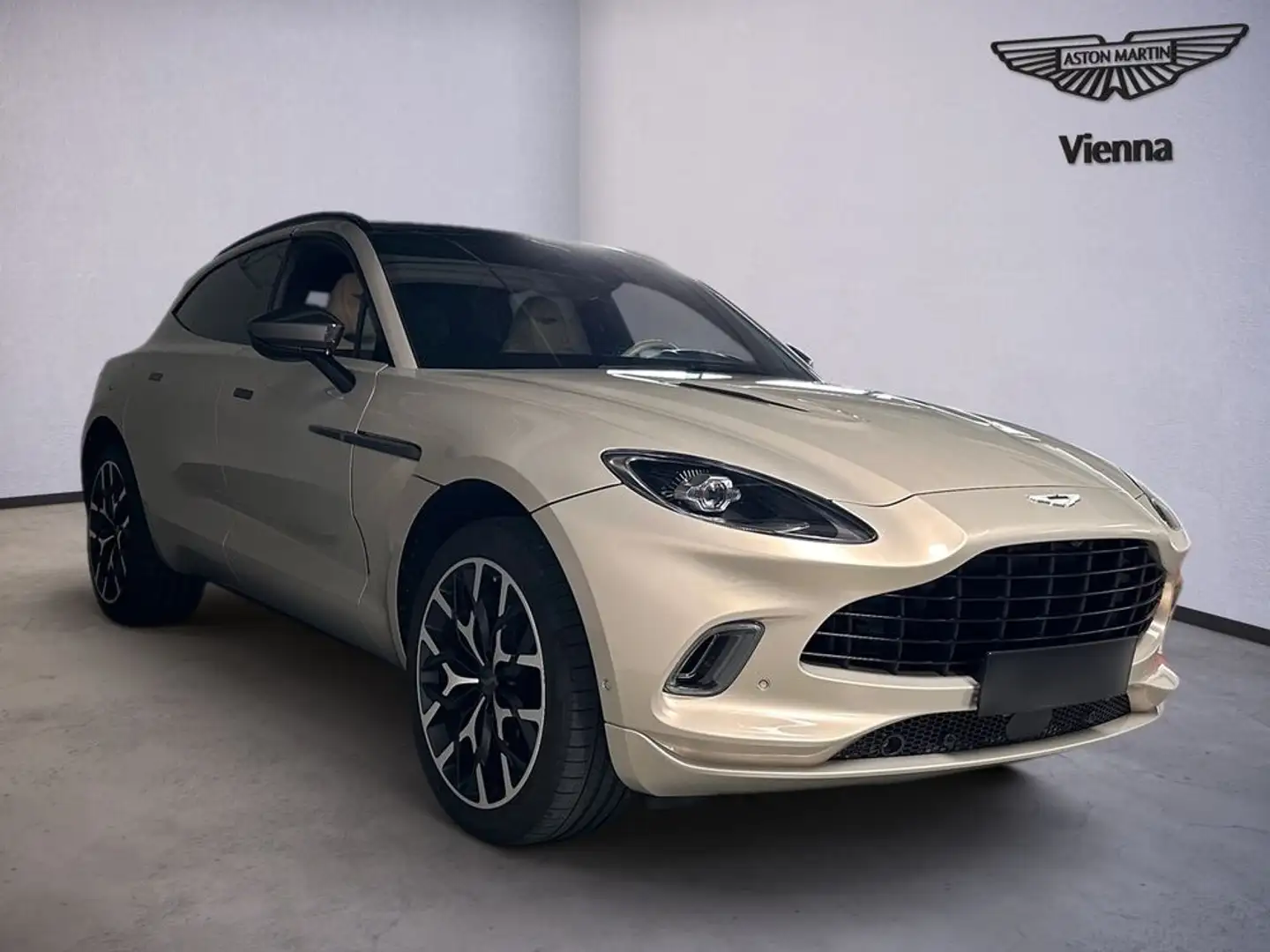 Aston Martin DBX / Pearl Blonde / CF-Pack / Beige - 2
