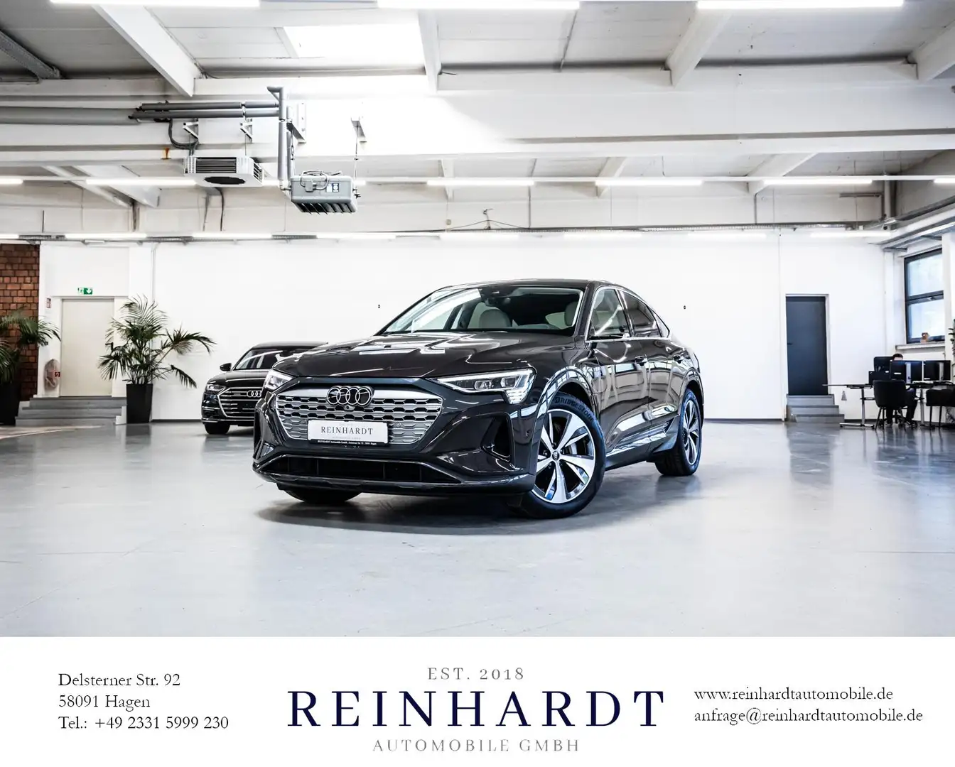 Audi Q8 e-tron SPORTBACK 50 ADVANCED/MTRX/ACC/360°/VC Hnědá - 1