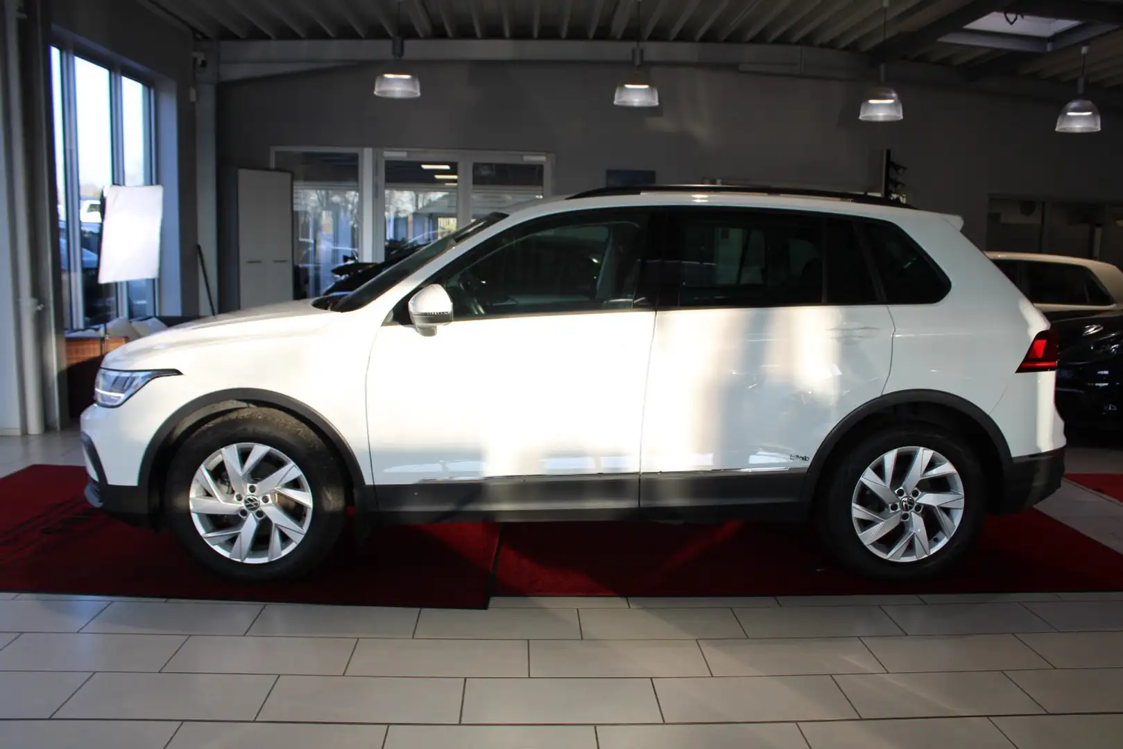 Volkswagen Tiguan 1.5 TSI Life Carplay*AHK Blanc - 2