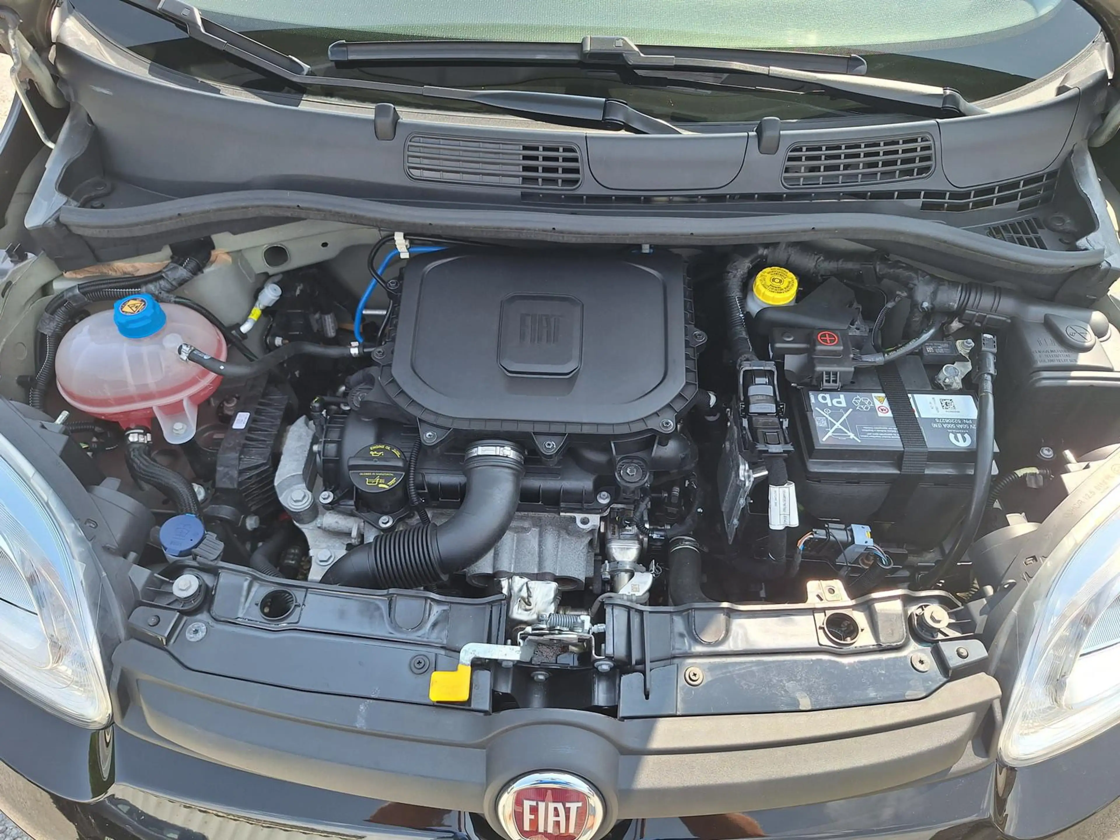 Fiat Panda 1.0 Hybrid 69PS Klima PDC DAB Spurhalteassistent — photo 15