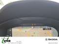 Skoda Karoq TOUR TDI Allradantrieb 4x4  AHZV Navigation Grau - thumbnail 10