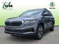 Skoda Karoq TOUR TDI Allradantrieb 4x4  AHZV Navigation Grau - thumbnail 1