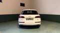 Audi Q5 Q5 II 2017 40 2.0 tdi Sport quattro 190cv s-tronic Weiß - thumbnail 6