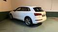 Audi Q5 Q5 II 2017 40 2.0 tdi Sport quattro 190cv s-tronic Weiß - thumbnail 8