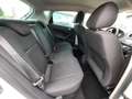 SEAT Ibiza 1.4 TDI 105 CV CR 5p. FR (unicoprop.) Blanc - thumbnail 18