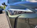 Lexus UX 300h Luxury Line STOELVERW STUURVERW MARK LEVINSON TRIP Zielony - thumbnail 10