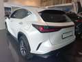 Lexus NX 450h+ Executive Blanc - thumbnail 4