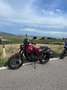 Benelli Leoncino vendo leoncino trail per cambio moto Red - thumbnail 4