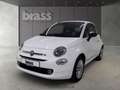Fiat 500 1.0 Mild Hybrid Basis (EURO 6d) Weiß - thumbnail 1