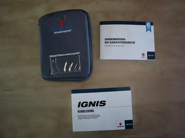 Suzuki Ignis view 24