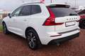 Volvo XC60 2.0 Momentum 2WD Kamera Android Apple AHK Bianco - thumbnail 3