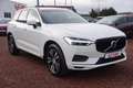 Volvo XC60 2.0 Momentum 2WD Kamera Android Apple AHK Bianco - thumbnail 7