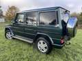 Mercedes-Benz G 350 G 350 BlueTec (463.3) Standheizung Grün - thumbnail 1