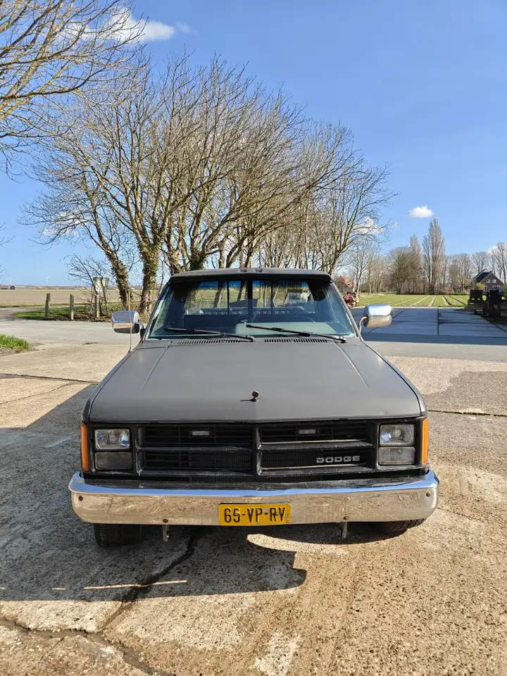 Dodge Dakota, foto 8