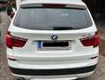 BMW X3 X3 xDrive20d Österreich-Paket Aut. Österreich-Paket Weiß - thumbnail 3