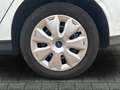 Ford Focus Zahnriemen neu Start/Stop PDC Blanc - thumbnail 11