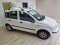 Fiat Panda Panda 1.2 Classic Biały - thumbnail 3