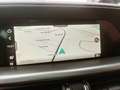 Alfa Romeo Stelvio 2.0 16v 280 At8 Q4 Veloce, Panoramadach Grau - thumbnail 15