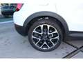 Fiat 500X Cross 1.0 FF 120 PK Weiß - thumbnail 16