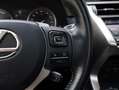 Lexus NX 300h AWD President Limited | Panoramadak | Stoelventila Grau - thumbnail 21