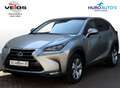 Lexus NX 300h AWD President Limited | Panoramadak | Stoelventila Grau - thumbnail 1