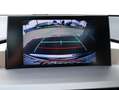 Lexus NX 300h AWD President Limited | Panoramadak | Stoelventila Grau - thumbnail 16