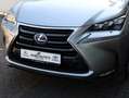 Lexus NX 300h AWD President Limited | Panoramadak | Stoelventila Grau - thumbnail 32
