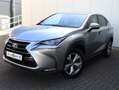 Lexus NX 300h AWD President Limited | Panoramadak | Stoelventila Grau - thumbnail 33