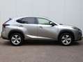 Lexus NX 300h AWD President Limited | Panoramadak | Stoelventila Grau - thumbnail 6