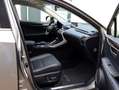 Lexus NX 300h AWD President Limited | Panoramadak | Stoelventila Grau - thumbnail 10