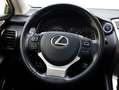 Lexus NX 300h AWD President Limited | Panoramadak | Stoelventila Grau - thumbnail 19